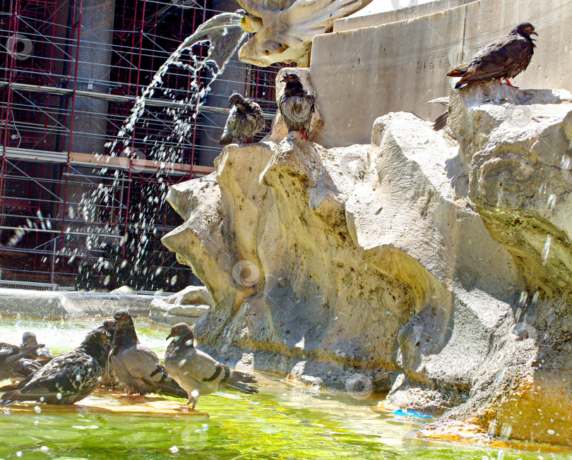 Скачать Фонтан с обелиском в Риме фотосток Ozero