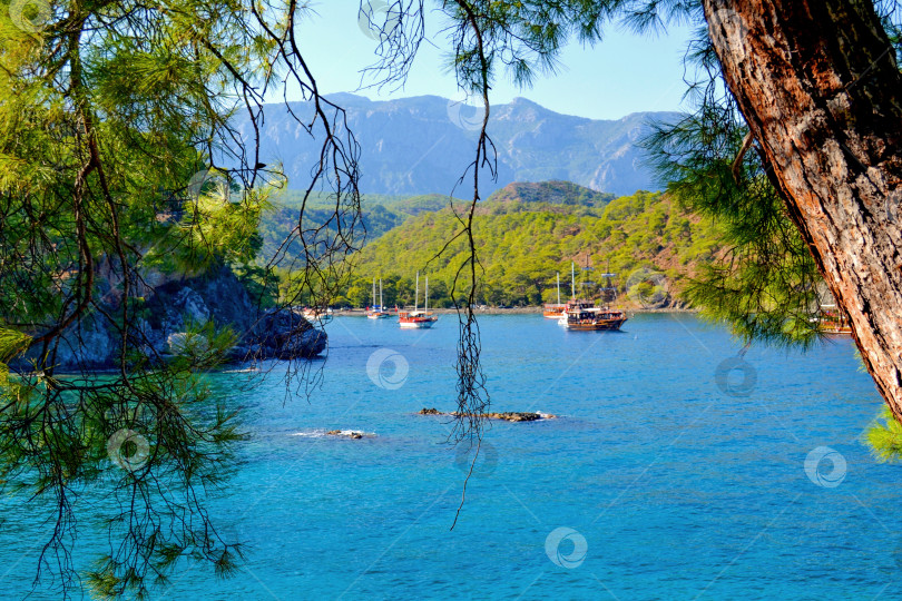 Скачать Яхты в заливе фотосток Ozero