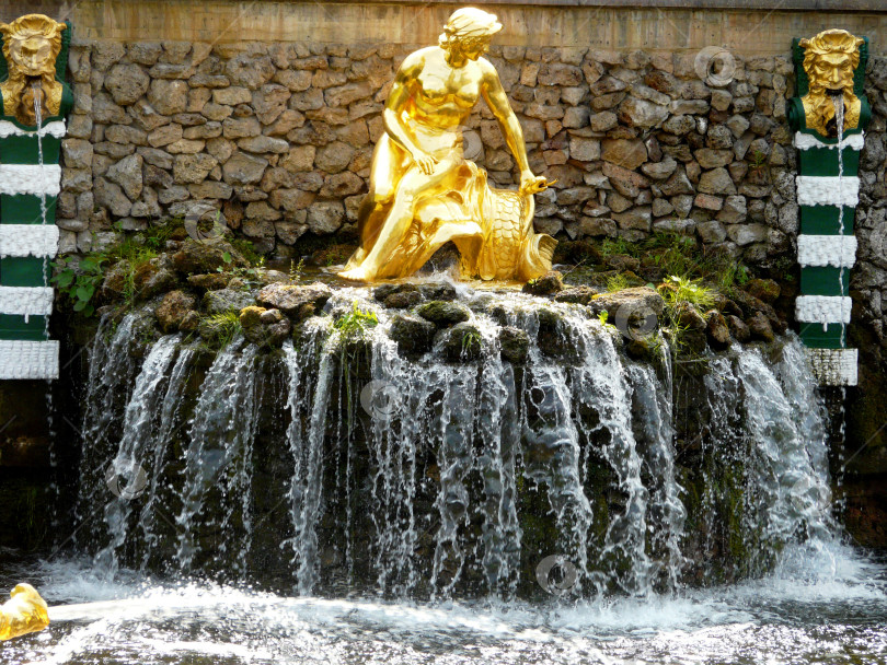 Скачать Невский фонтан, Большой каскад, Петергоф, Санкт-Петербург фотосток Ozero