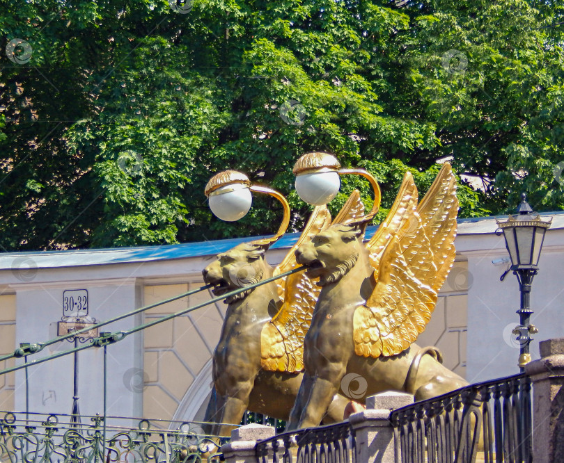 Скачать Банковский мост с грифонами в Санкт-Петербурге фотосток Ozero