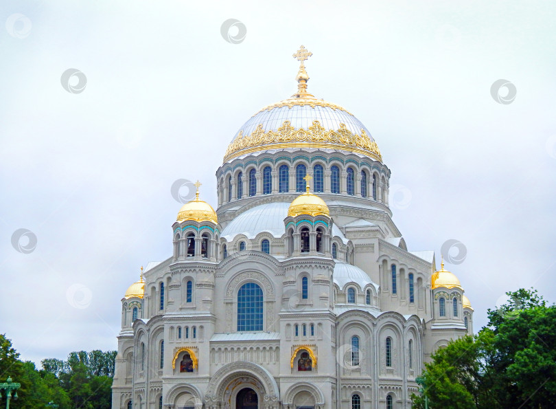 Скачать Морской собор Святого Николая Чудотворца, Кронштадт фотосток Ozero