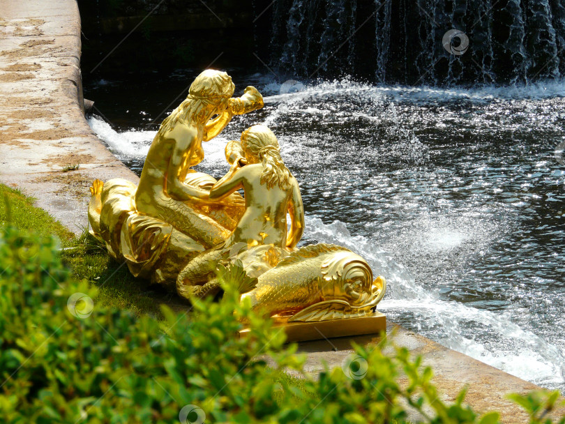 Скачать Сирены и дельфины (восточная часть, сзади) Большой каскад в Нижнем парке Петергофа фотосток Ozero