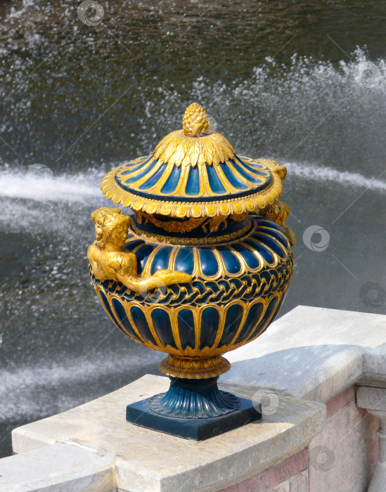 Скачать Фигурная ванна на балюстраде верхней террасы Большого дворца фотосток Ozero