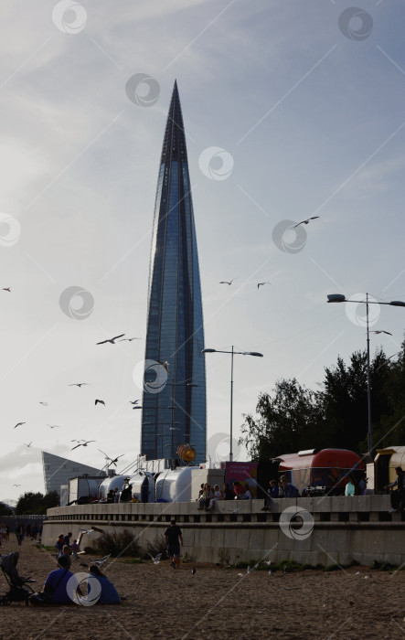 Скачать Чайки около Лахта центра фотосток Ozero