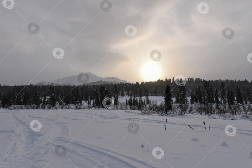 Скачать Зима в горной тайге фотосток Ozero