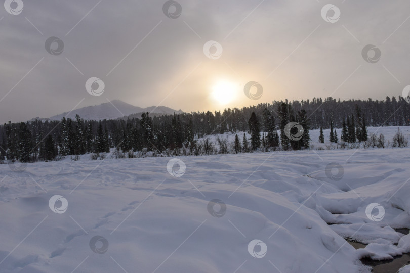 Скачать Зима в горной тайге фотосток Ozero
