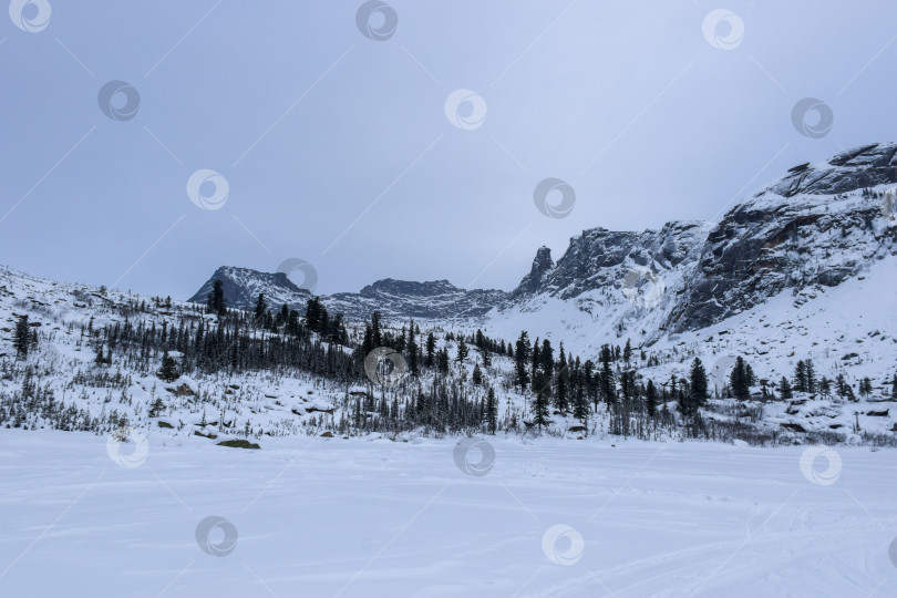 Скачать Зима в горной тайге фотосток Ozero