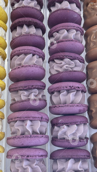 Скачать Фиолетовые макароны со сливочной начинкой разложены вертикальными рядами в пекарне фотосток Ozero