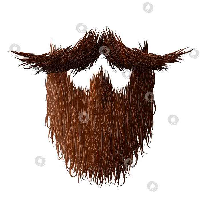 Скачать Мужская борода. Сильный, волосатый и кудрявый мужчина, которого не бреют в ноябре фотосток Ozero