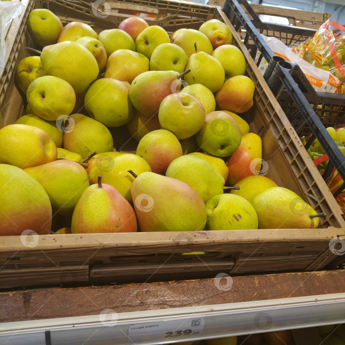 Скачать Отдел груш в магазине "Магнит". фотосток Ozero