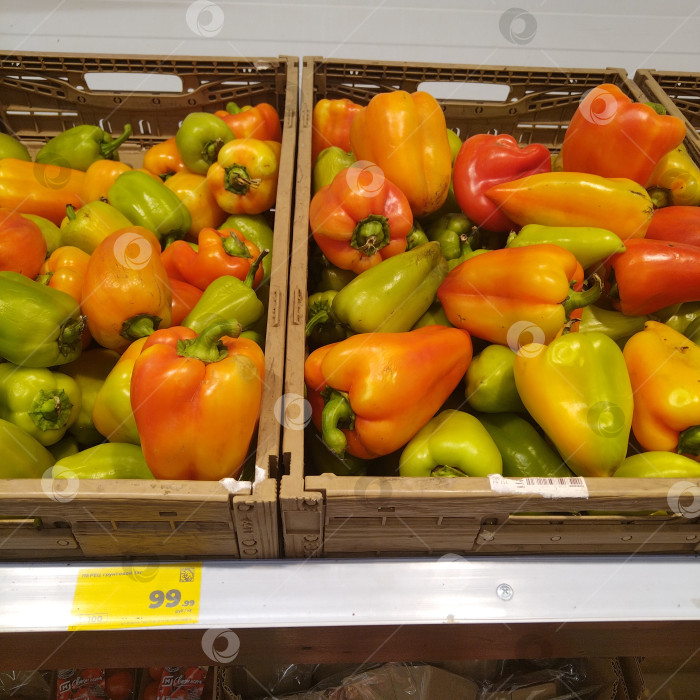 Скачать Отдел перцев в магазине "Магнит". фотосток Ozero