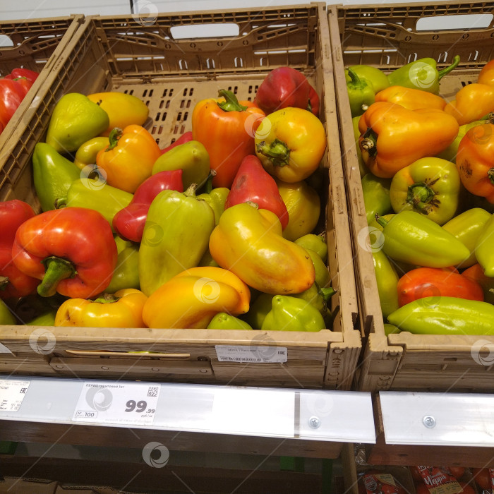 Скачать Отдел перцев в магазине "Магнит". фотосток Ozero