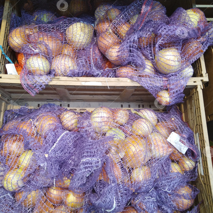 Скачать Отдел лука в магазине "Магнит". фотосток Ozero