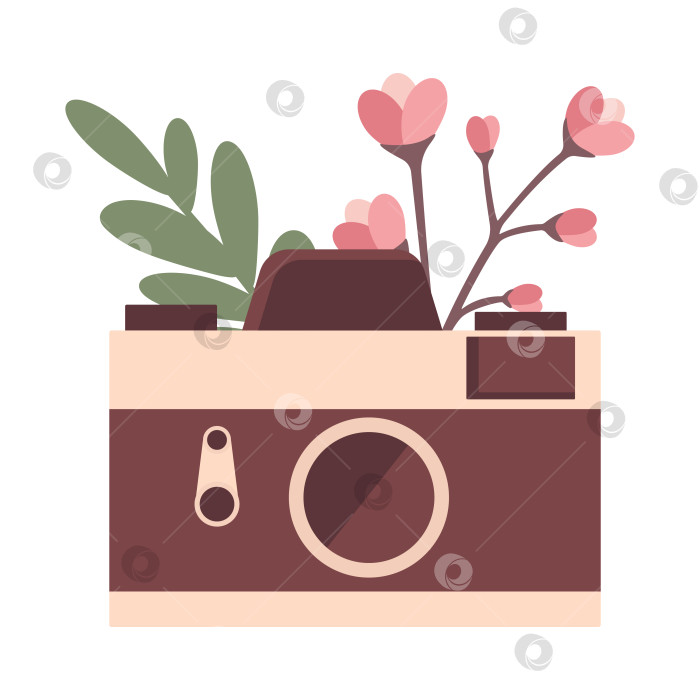 Скачать Фрагмент фотокамеры с цветущим цветком сакуры, изолированным на белом фоне фотосток Ozero