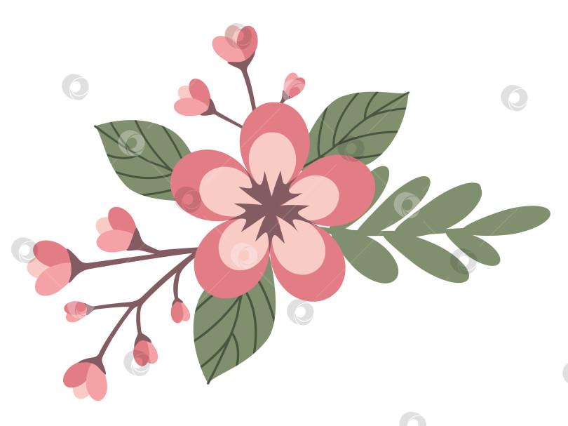 Скачать Цветущая ветка сакуры, изолированная на белом фоне фотосток Ozero