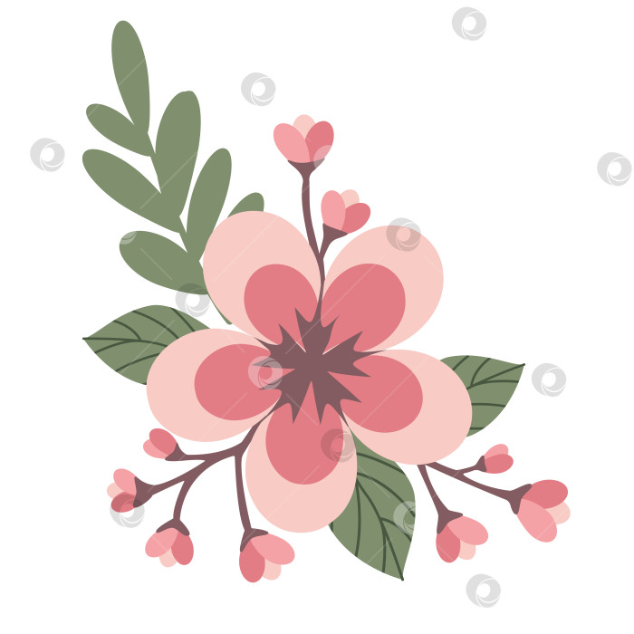 Скачать Цветущая ветка сакуры, изолированная на белом фоне фотосток Ozero