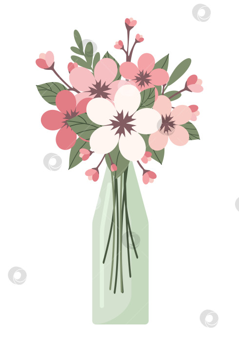 Скачать Стеклянная ваза или бутылка с цветущим цветком сакуры, выделенным на белом фоне фотосток Ozero