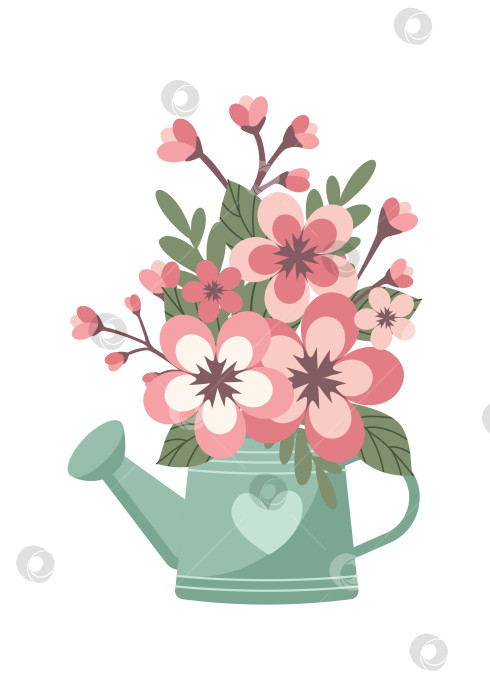 Скачать Лейка с цветущим цветком сакуры, выделенным на белом фоне фотосток Ozero