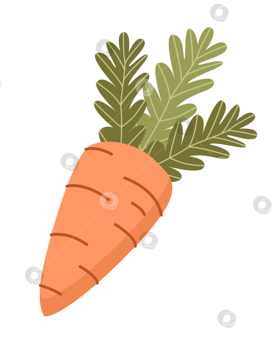 Скачать Морковь, выделенная на белом фоне. Пасхальный элемент. Векторная иллюстрация. Плоский симпатичный фасон. фотосток Ozero