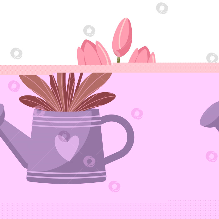 Скачать Лейка с розовыми тюльпанами, выделенными на белом фоне. фотосток Ozero