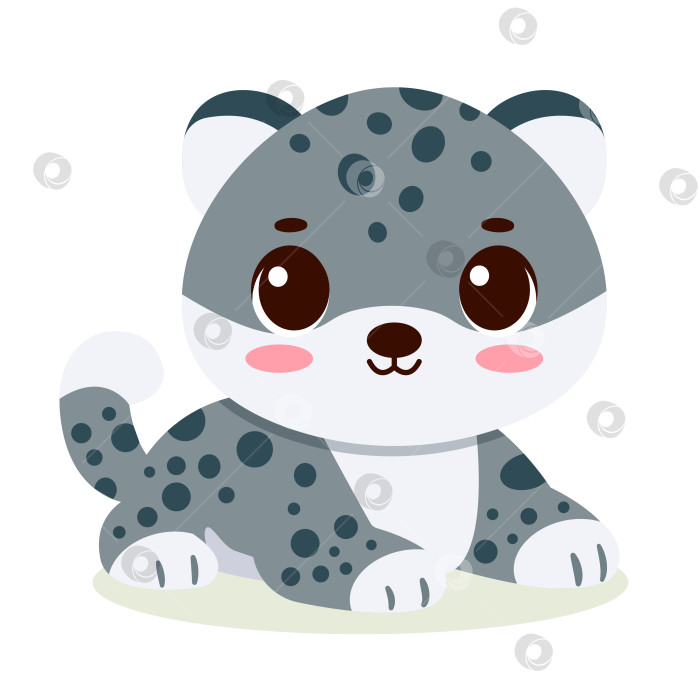 Скачать Милый детеныш снежного барса фотосток Ozero