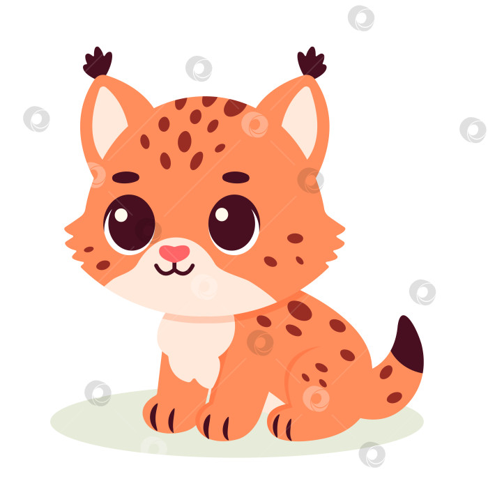 Скачать Милый детеныш рыси-чародейки фотосток Ozero