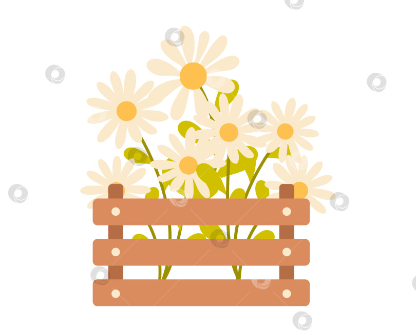 Скачать Деревянная коробка с весенними цветами. Симпатичная векторная иллюстрация для весеннего дизайна. Векторная иллюстрация в плоском стиле фотосток Ozero