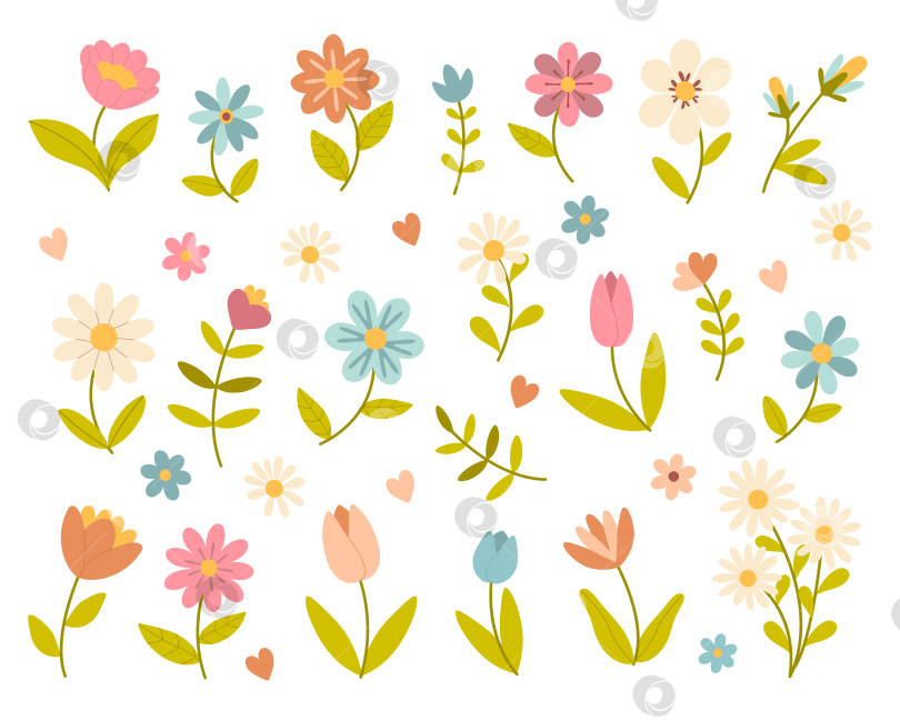 Скачать Милые весенние цветы и листья, выделенные на белом фоне фотосток Ozero