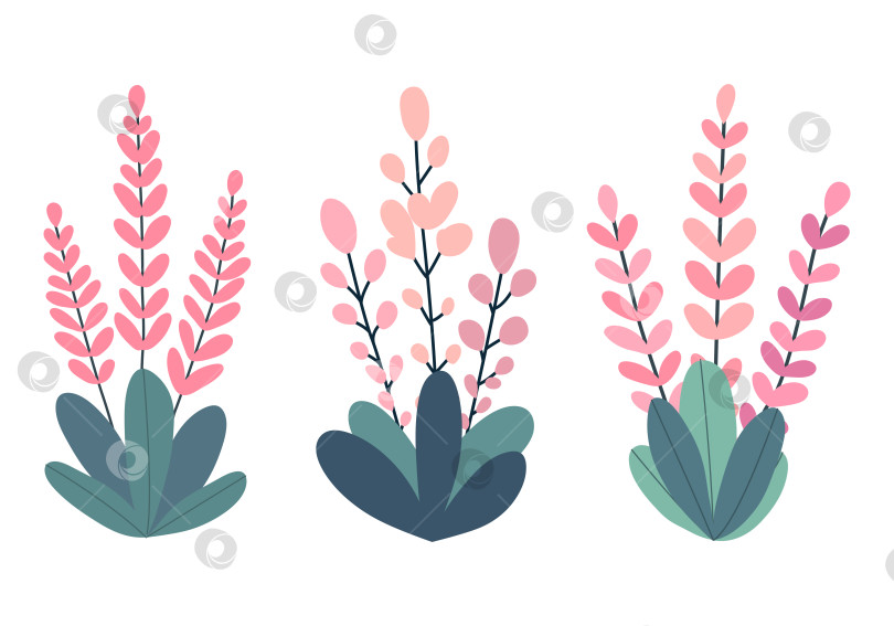 Скачать Цветы вереска выделяются на белом фоне. Плоский стиль фотосток Ozero