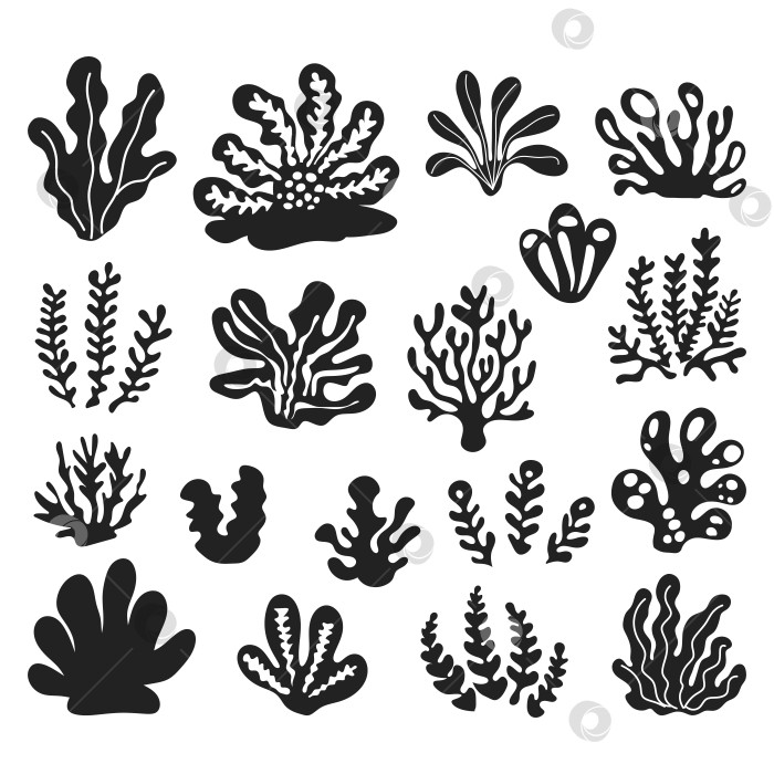 Скачать Силуэт черных морских водорослей, выделяющийся на белом фоне. Коллекция морских растений фотосток Ozero