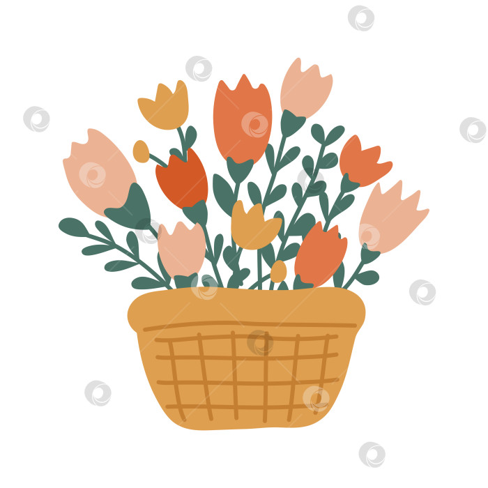 Скачать Букет тюльпанов в корзине фотосток Ozero