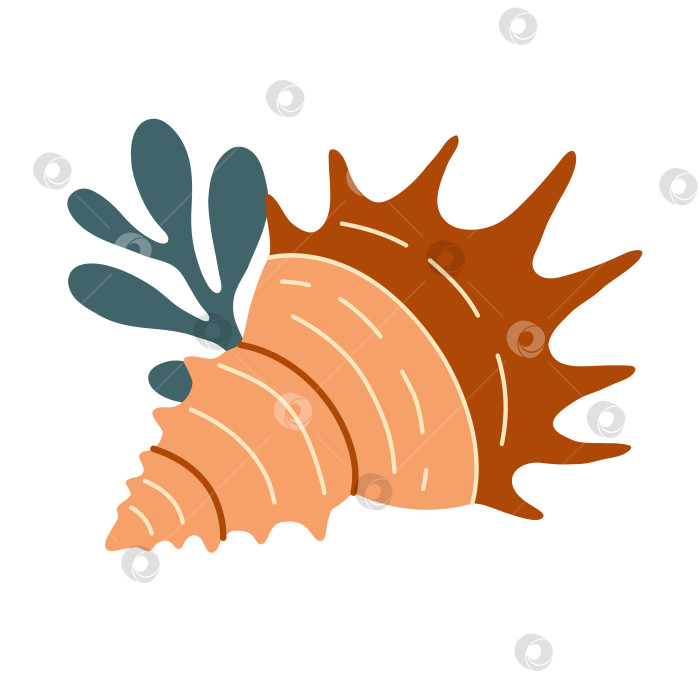 Скачать Морские ракушки, спиральные раковины моллюсков, аквариум или подводная фауна. Плоский стиль фотосток Ozero