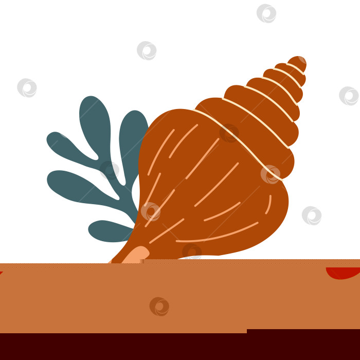 Скачать Морские ракушки, спиральные раковины моллюсков, аквариум или подводная фауна. Плоский стиль фотосток Ozero