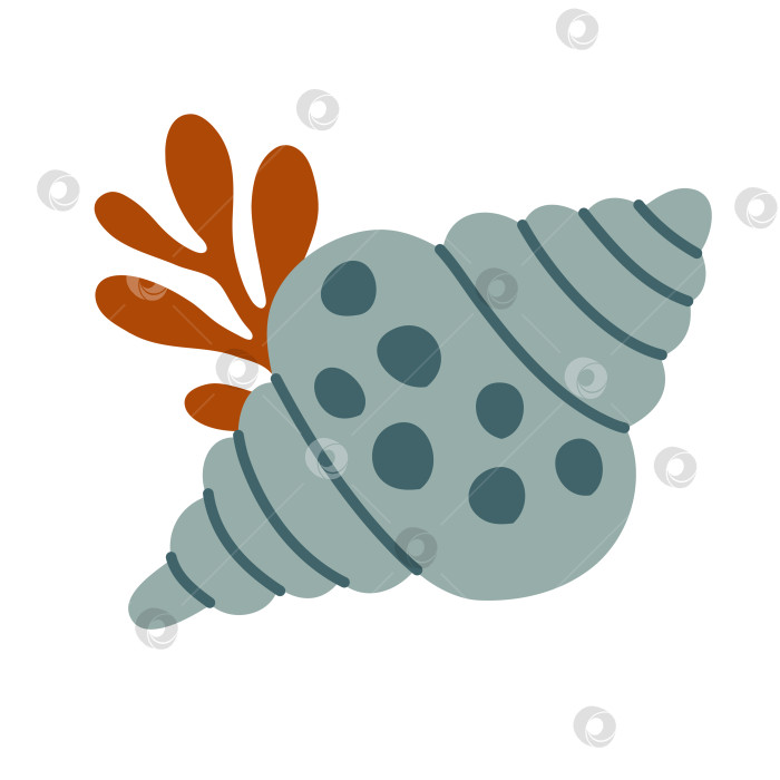 Скачать Морские ракушки, спиральные раковины моллюсков, аквариум или подводная фауна. Плоский стиль фотосток Ozero