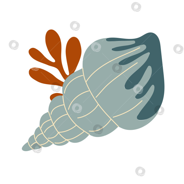 Скачать Морские ракушки, спиральные раковины моллюсков, аквариум или подводная фауна. Плоский стиль фотосток Ozero