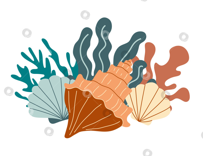 Скачать Коралловый риф с разнообразными водорослями и ракушками. Модные цвета, лаконичный дизайн фотосток Ozero