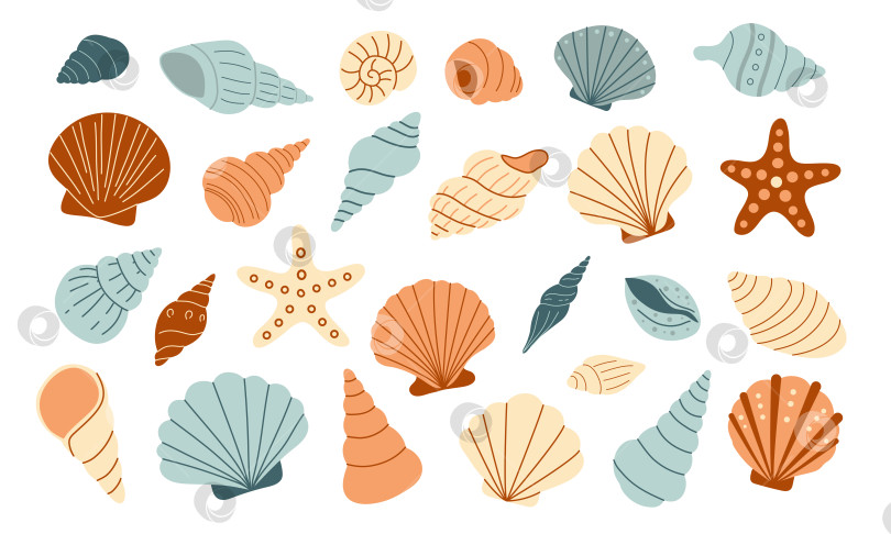 Скачать Морские ракушки, набор спиральных раковин моллюсков, аквариум или подводная фауна. Плоский стиль фотосток Ozero