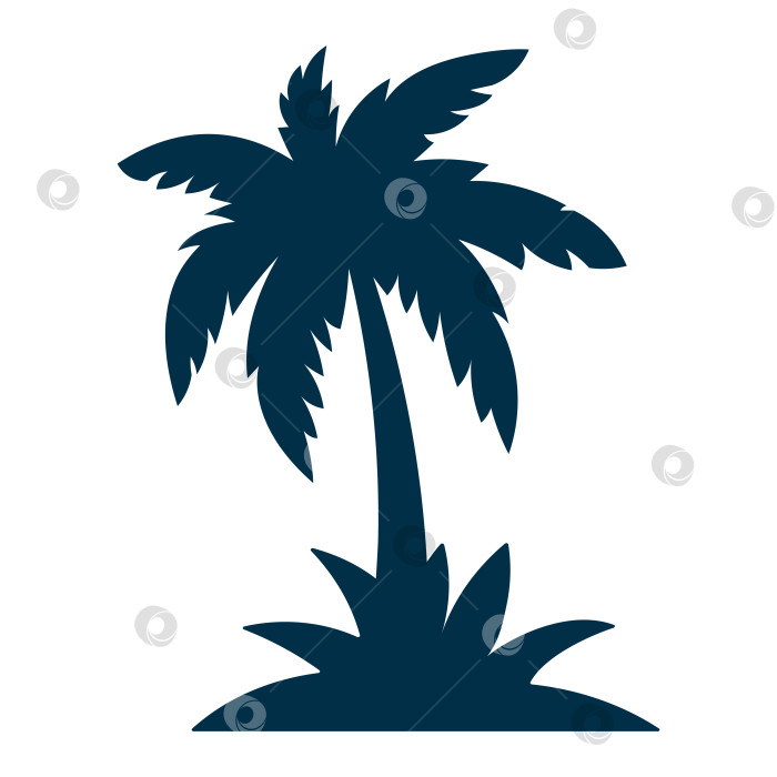 Скачать Черный силуэт пальмы, выделенный на белом фоне фотосток Ozero