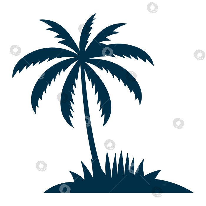 Скачать Черный силуэт пальмы, выделенный на белом фоне фотосток Ozero