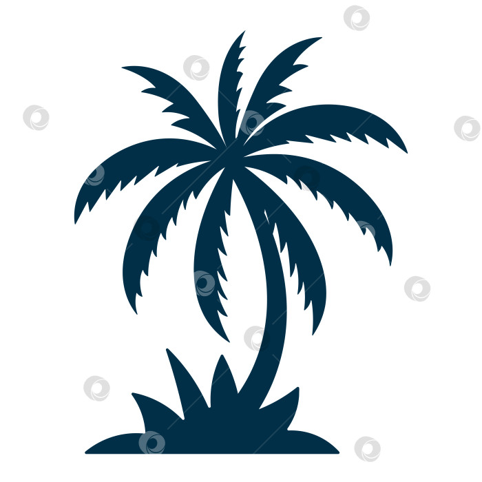 Скачать Черный силуэт пальмы, выделенный на белом фоне фотосток Ozero