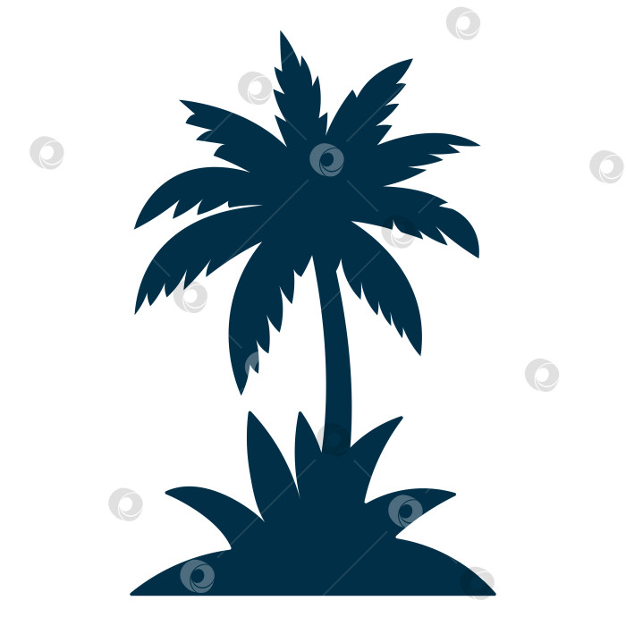 Скачать Черный силуэт пальмы, выделенный на белом фоне фотосток Ozero
