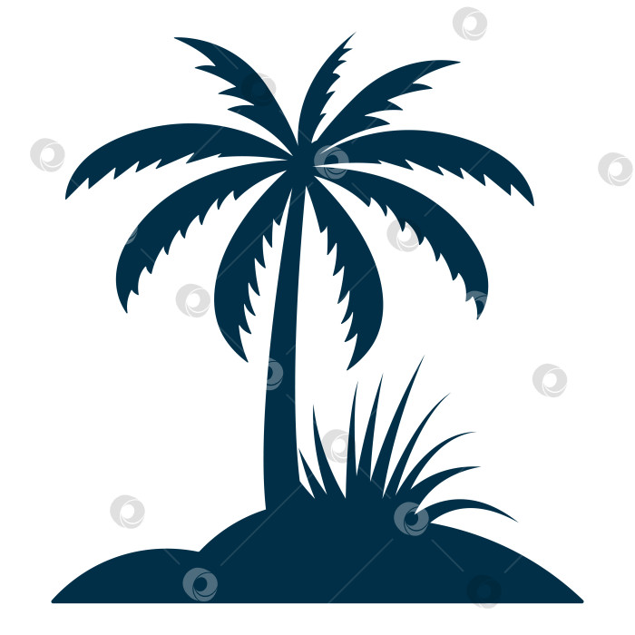 Скачать Черный силуэт пальмы, выделенный на белом фоне фотосток Ozero