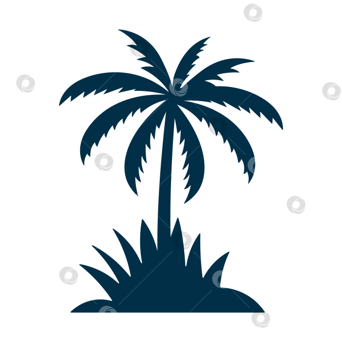 Скачать Черный силуэт пальмы, выделенный на белом фоне фотосток Ozero