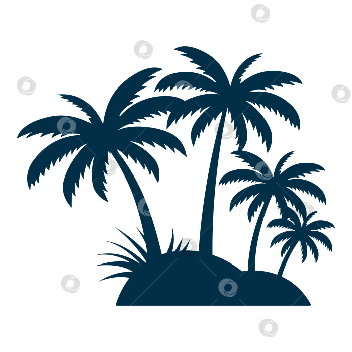 Скачать Черный силуэт пальмы, выделенный на белом фоне фотосток Ozero