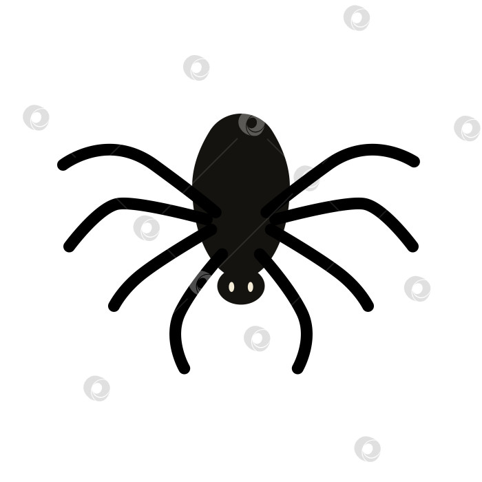 Скачать Черный силуэт паука для дизайна Хэллоуина, выделенный на белом фоне. фотосток Ozero
