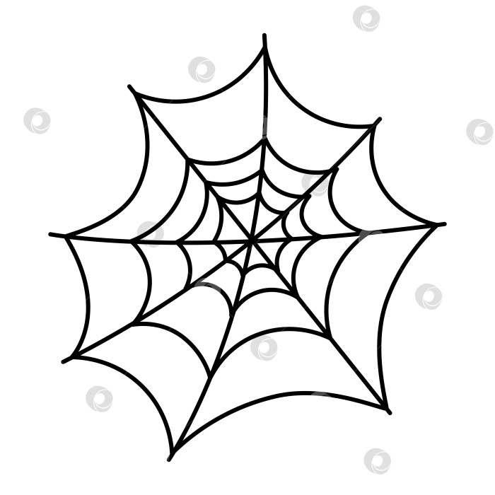 Скачать Черный силуэт паутины для дизайна Хэллоуина, выделенный на белом фоне. фотосток Ozero