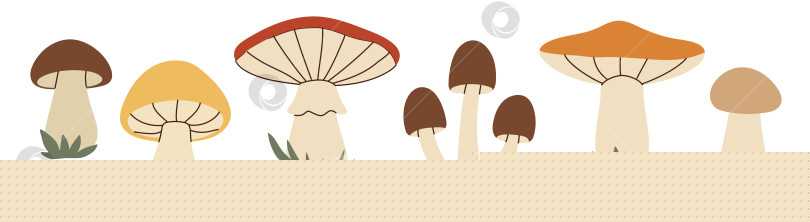 Скачать Простой плоский набор грибов фотосток Ozero