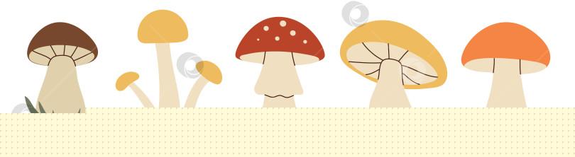 Скачать Простой плоский набор грибов фотосток Ozero