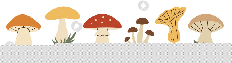 Скачать Простой плоский набор грибов фотосток Ozero