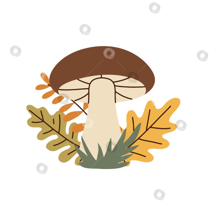 Скачать Простой плоский стиль с грибами и осенними листьями фотосток Ozero